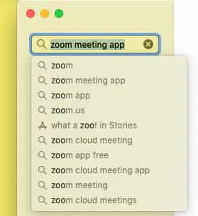 search zoom app