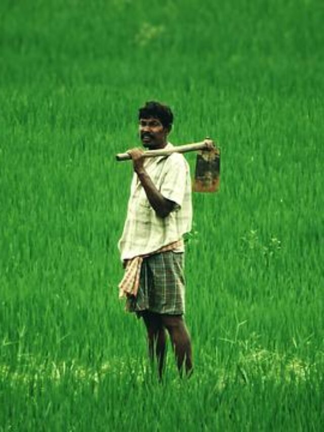 pm kisan samman nidhi 11 kist beneficiary status